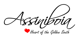 Town of Assiniboia